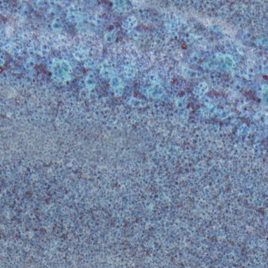 lavender mist mid-fire glaze color chip from Speedball Art